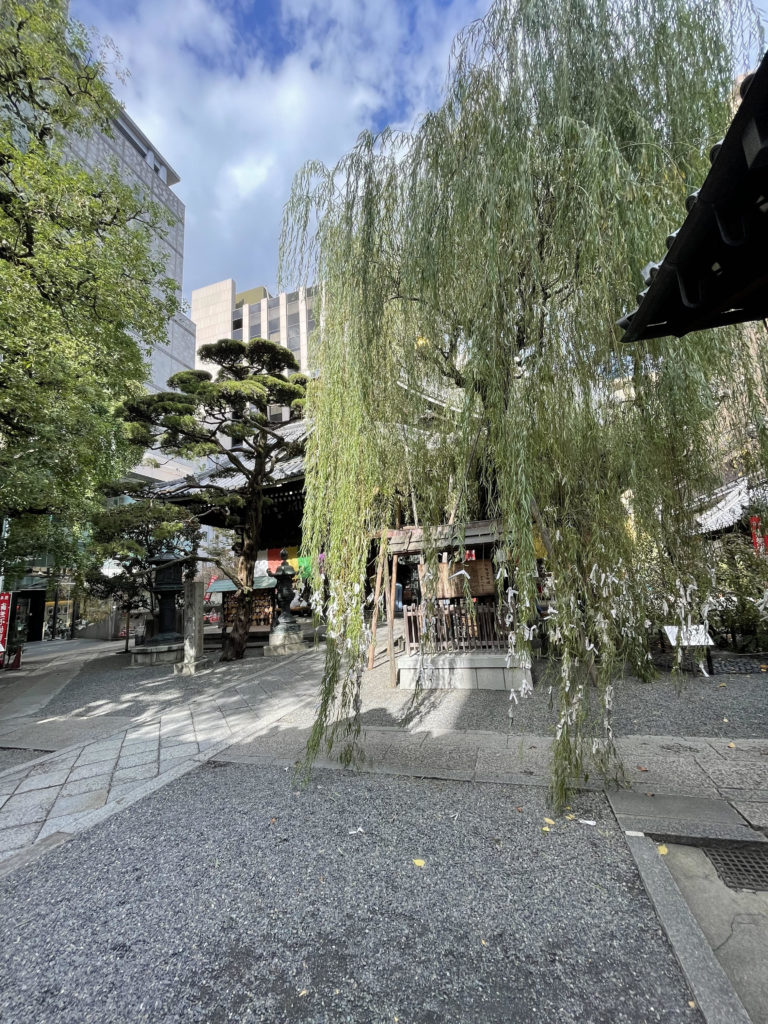 縁結び伝説ゆかりの柳